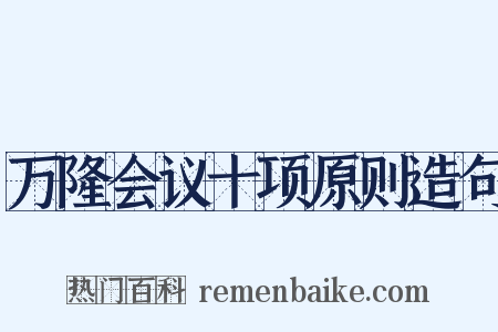 万隆会议十项原则造句是什么意思的图片